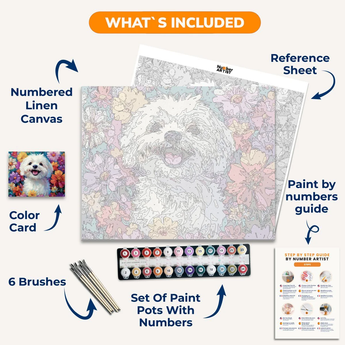 Bichon Frise - Image 3