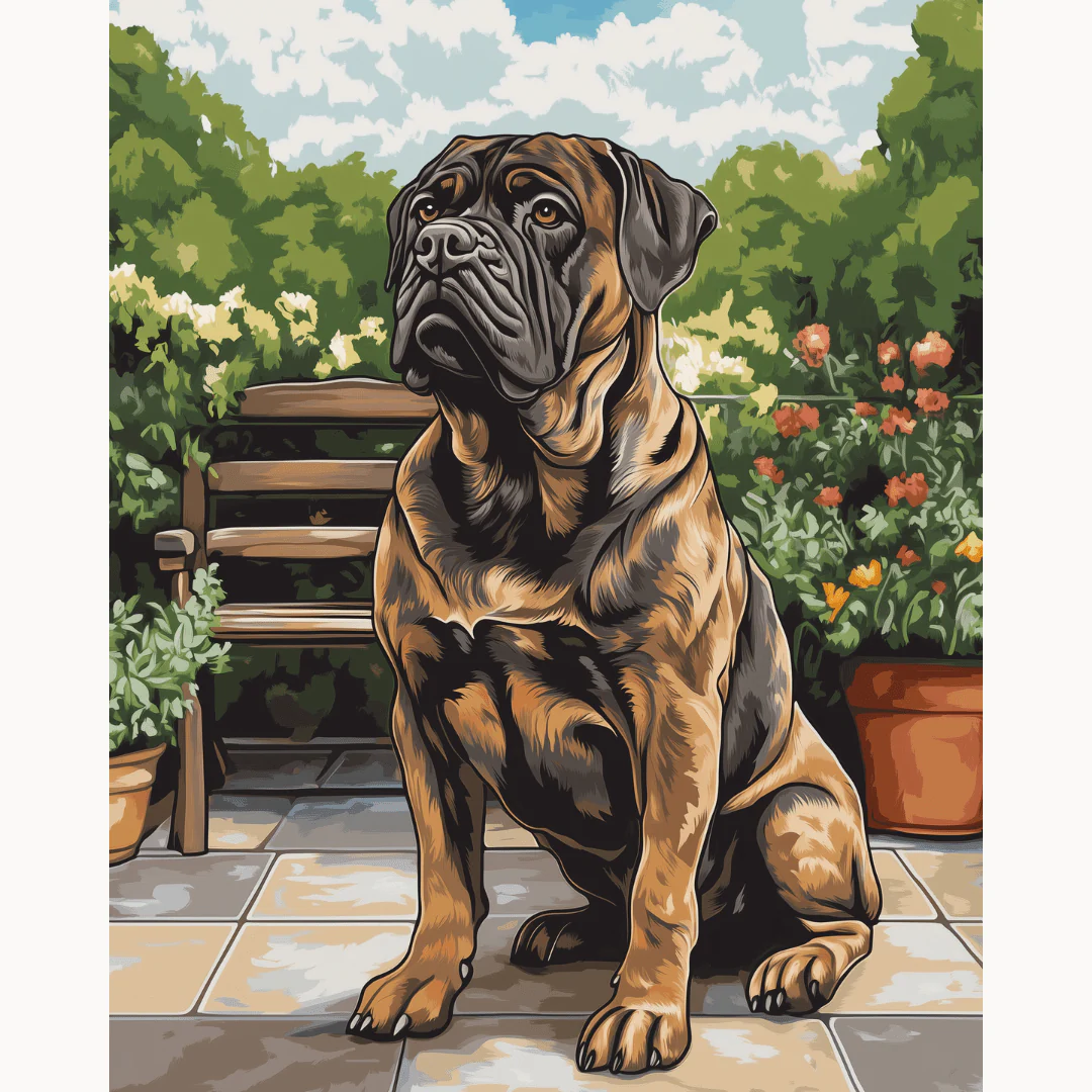 Brindle Mastiff - Image 2