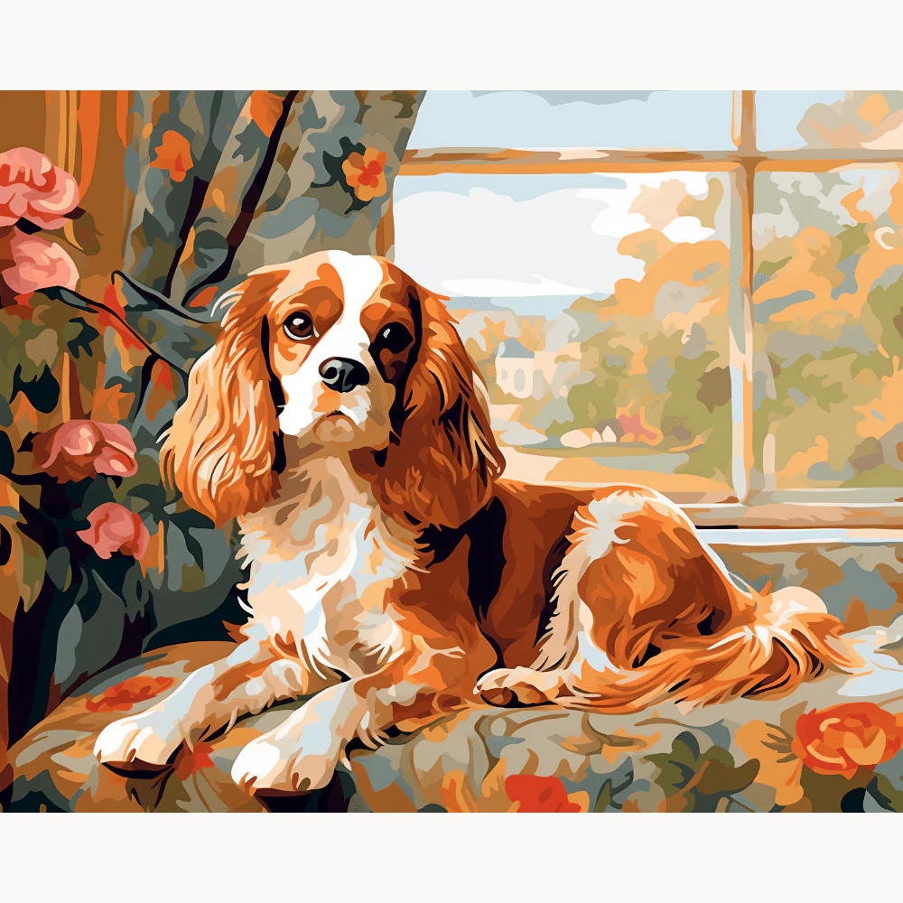 Cavalier King Charles Spaniel - Image 2
