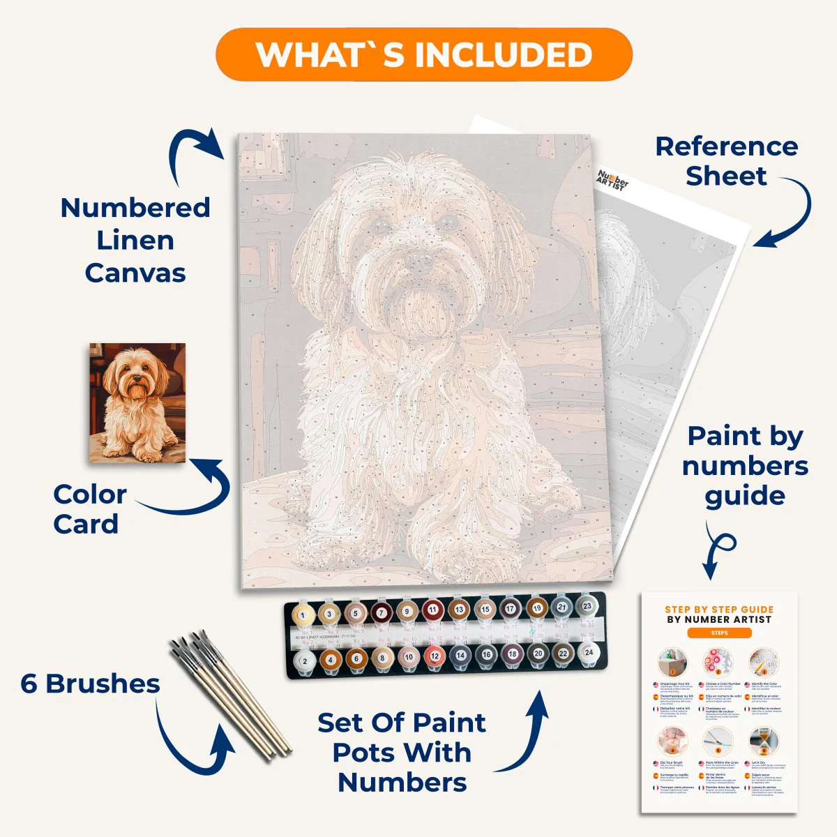 Elegant Havanese - Image 3