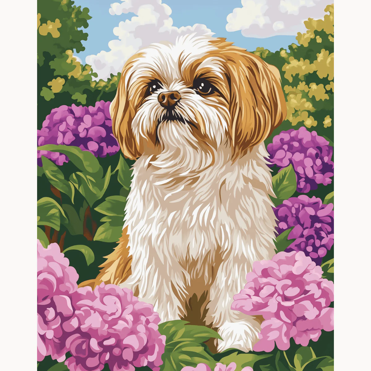Golden Shih Tzu - Image 2
