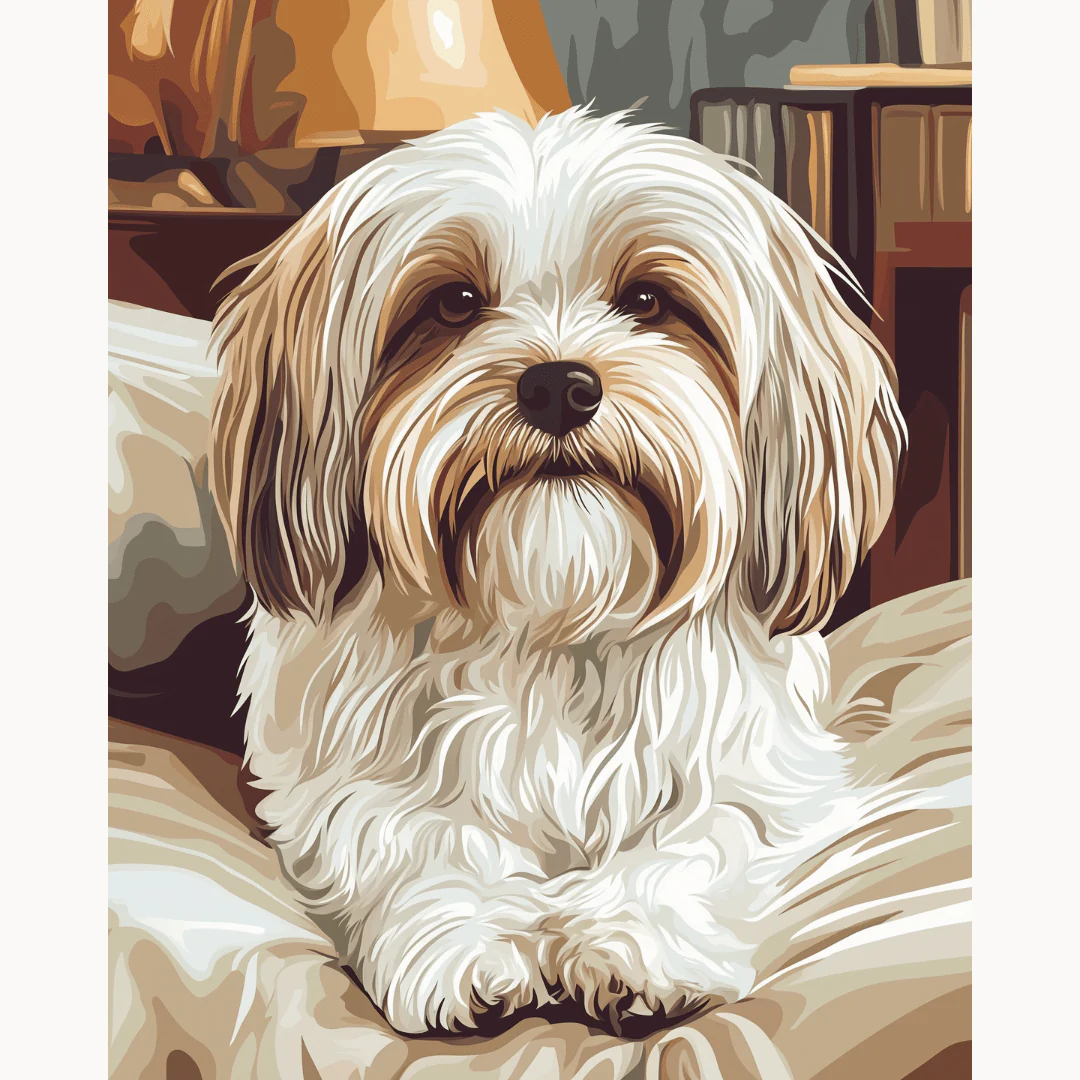 Havanese Dog - Image 2