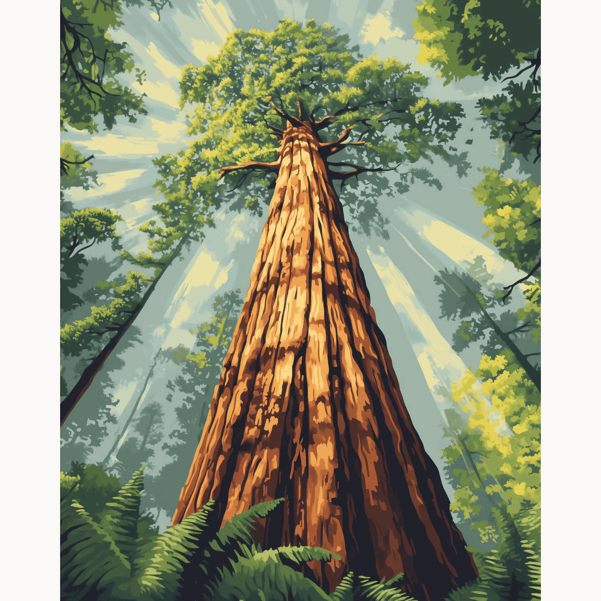 Redwood Tree - Image 2