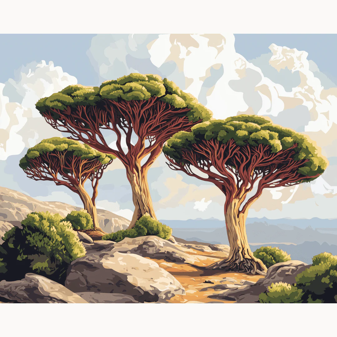 Socotra Island - Image 2