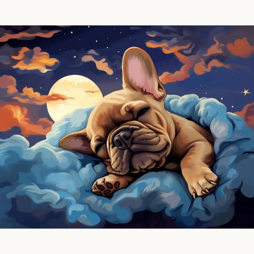 Sweet Dreams Frenchie - Image 2
